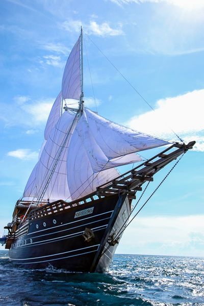 Tauchschiff AMIRA unter Segel