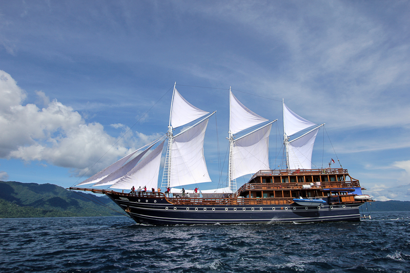 Tauchschiff AMIRA unter Segel